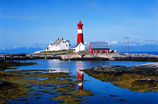 Introducing torch autograd